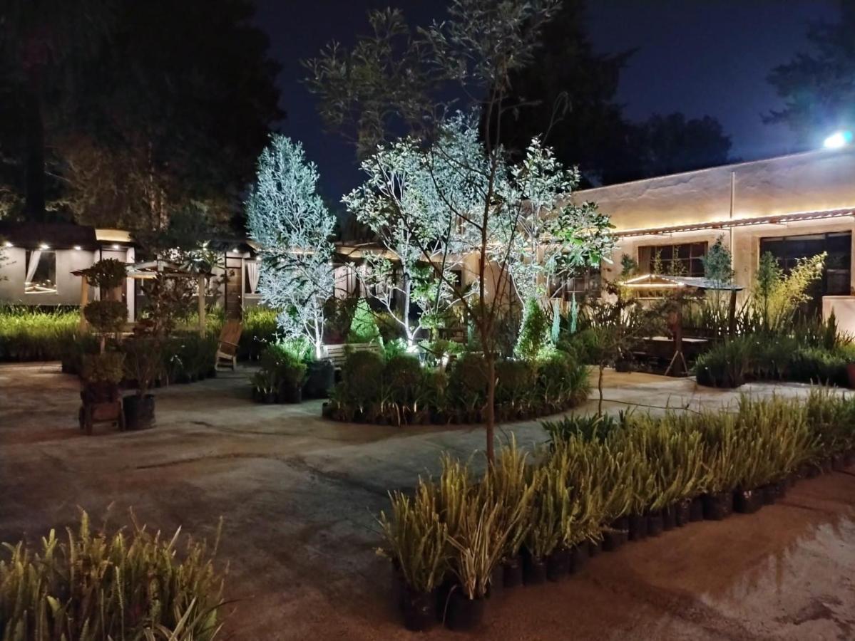 Utopia Hotel Boutique Città del Messico Esterno foto